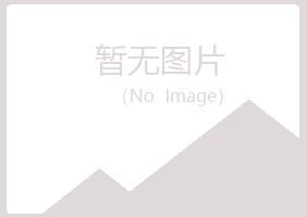 安泽县字迹司机有限公司